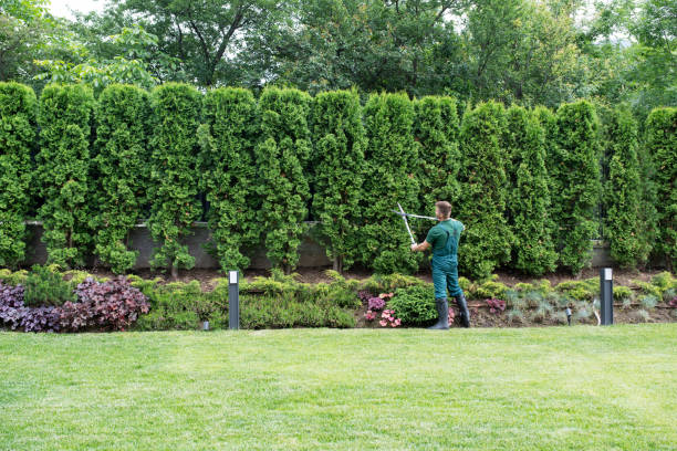 Lawn Maintenance Plans in Burton, MI